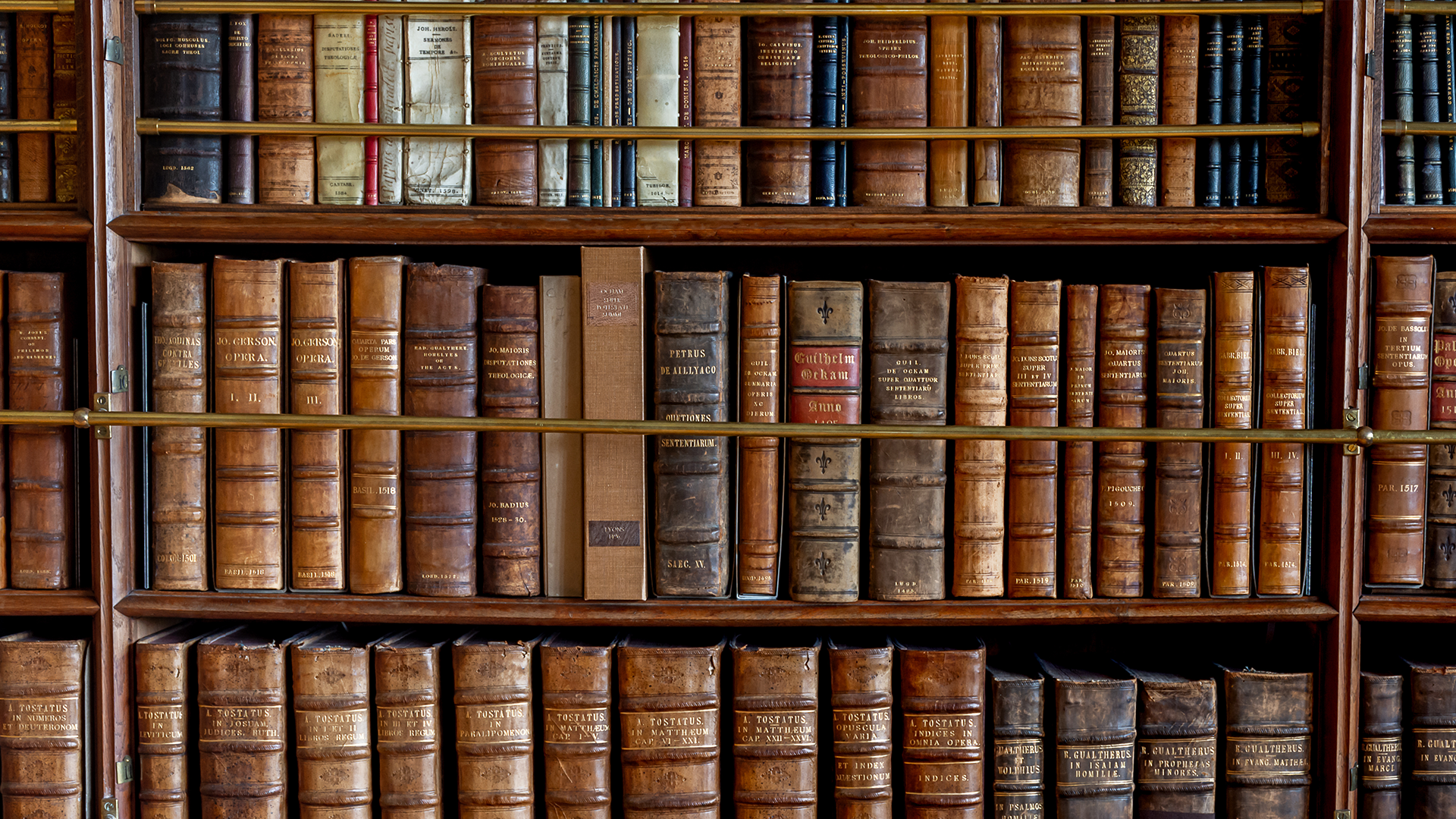 SEO Dictionary